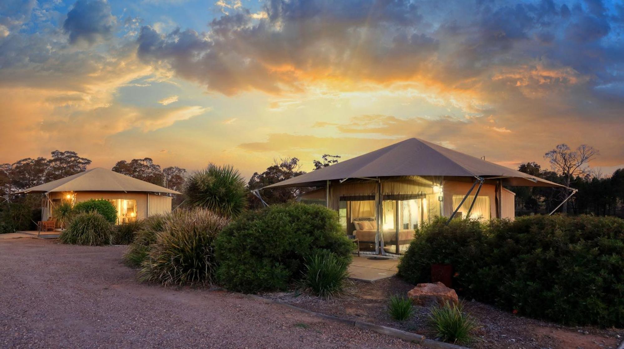 Dubbo Rhino Lodge Exteriör bild